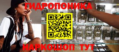 крисы Севастополь