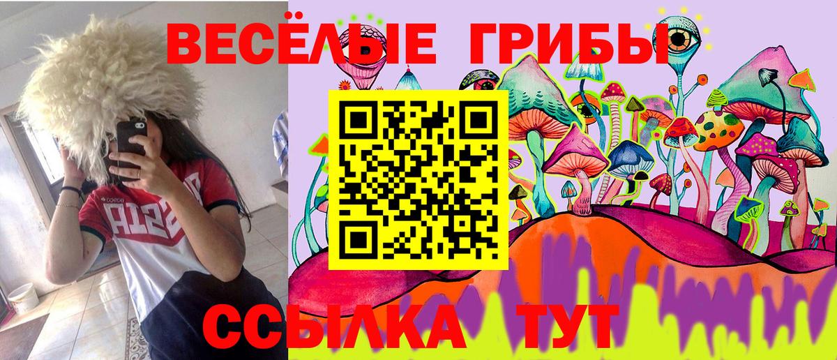 Псилоцибиновые грибы прущие грибы Саранск