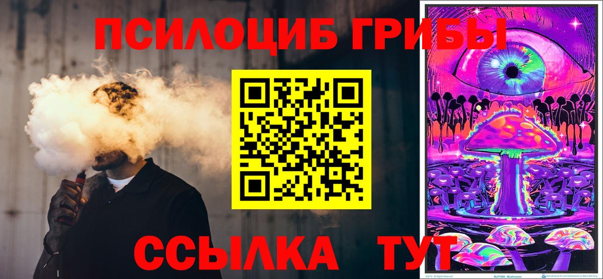 Псилоцибиновые грибы Psilocybine cubensis  Вход с VPN  Саранск 
